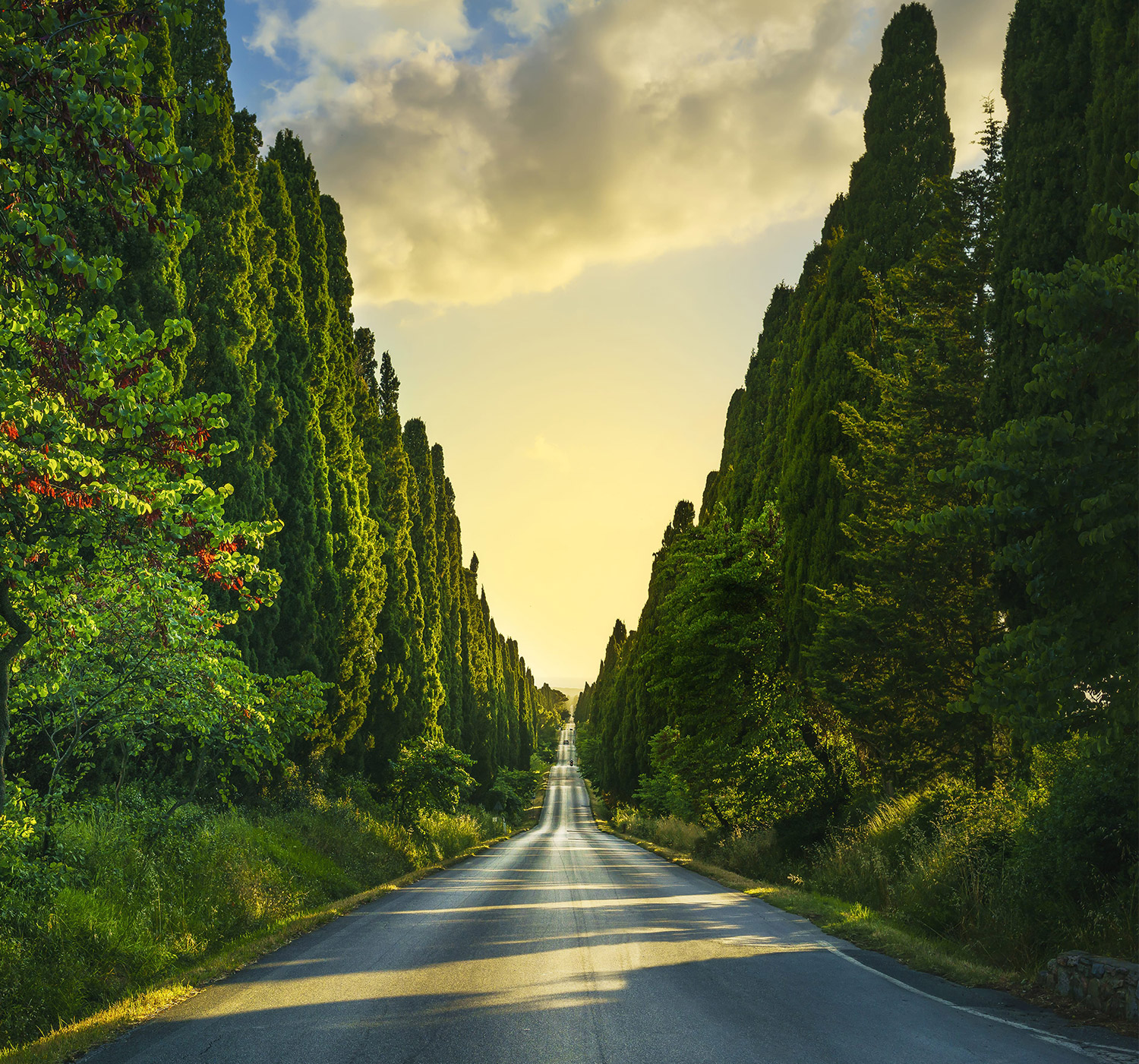 Podere-prospero-gallery-2